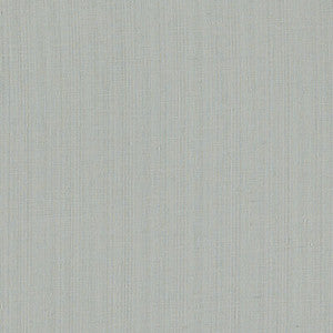 Remo Mist F1665/06.CAC.0 By Clarke And Clarke Designer Fabric