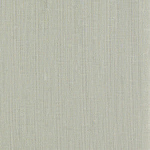 Remo Smoke F1665/12.CAC.0 By Clarke And Clarke Designer Fabric