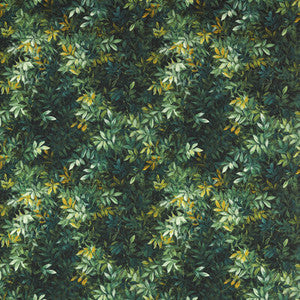 Congo Outdoor F1666/01.CAC.0 By Clarke And Clarke Designer Fabric