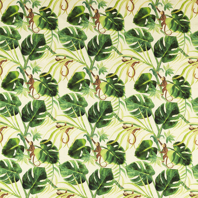 Clarke And Clarke - Multipurpose - F1671/01.CAC.0 - Multipurpose - POLYESTER - 100% - Spain </p><p>Repeat: H: , V: 27.5 21 - My Fabric Connection -