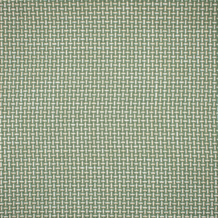 F1672 Sprout by Greenhouse Designer Fabric 100% Polyester China 75,000 </p><p>Repeat: .5" H, .5" V 57" - Swanky Fabrics -