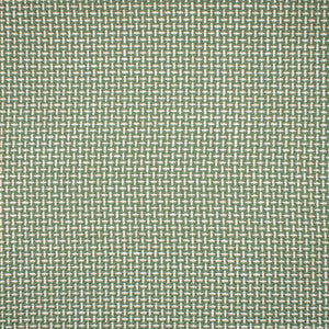 F1672 Sprout by Greenhouse Designer Fabric