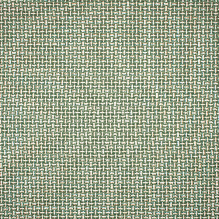 F1672 Sprout by Greenhouse Designer Fabric 100% Polyester China 75,000 double rubs </p><p>Repeat: .5" H, .5" V 57" - Swanky Fabrics -