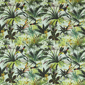 Toucan Outdoor F1676/02.CAC.0 By Clarke And Clarke Designer Fabric