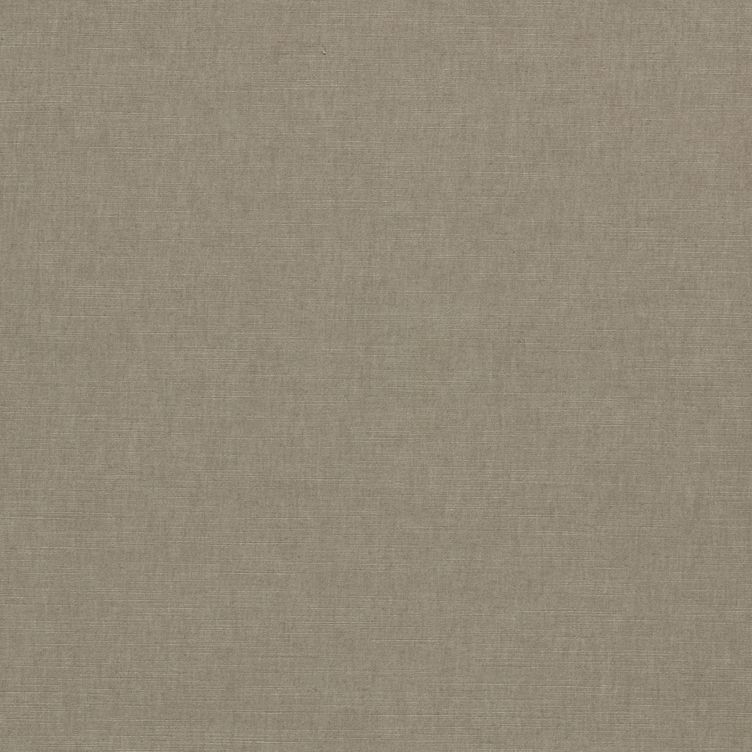 Paradiso - Ash F1707/01.CAC.0 by Clarke & Clarke Designer Fabric