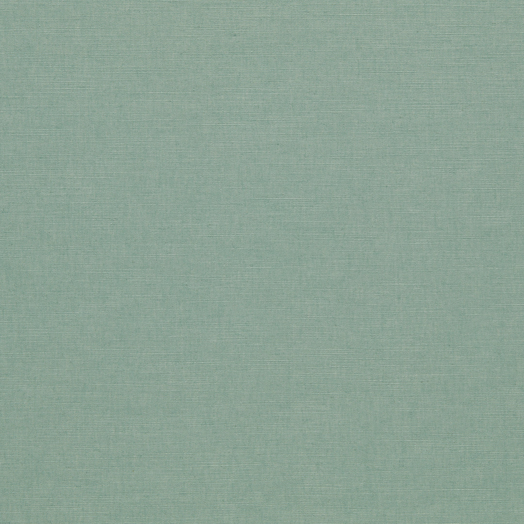 Paradiso - Mineral F1707/16.CAC.0 by Clarke & Clarke Designer Fabric