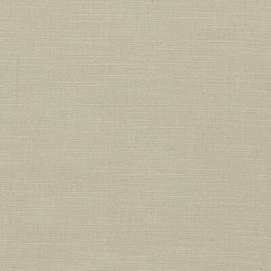 Paradiso Pebble F1707/21.CAC.0 By Clarke And Clarke Designer Fabric