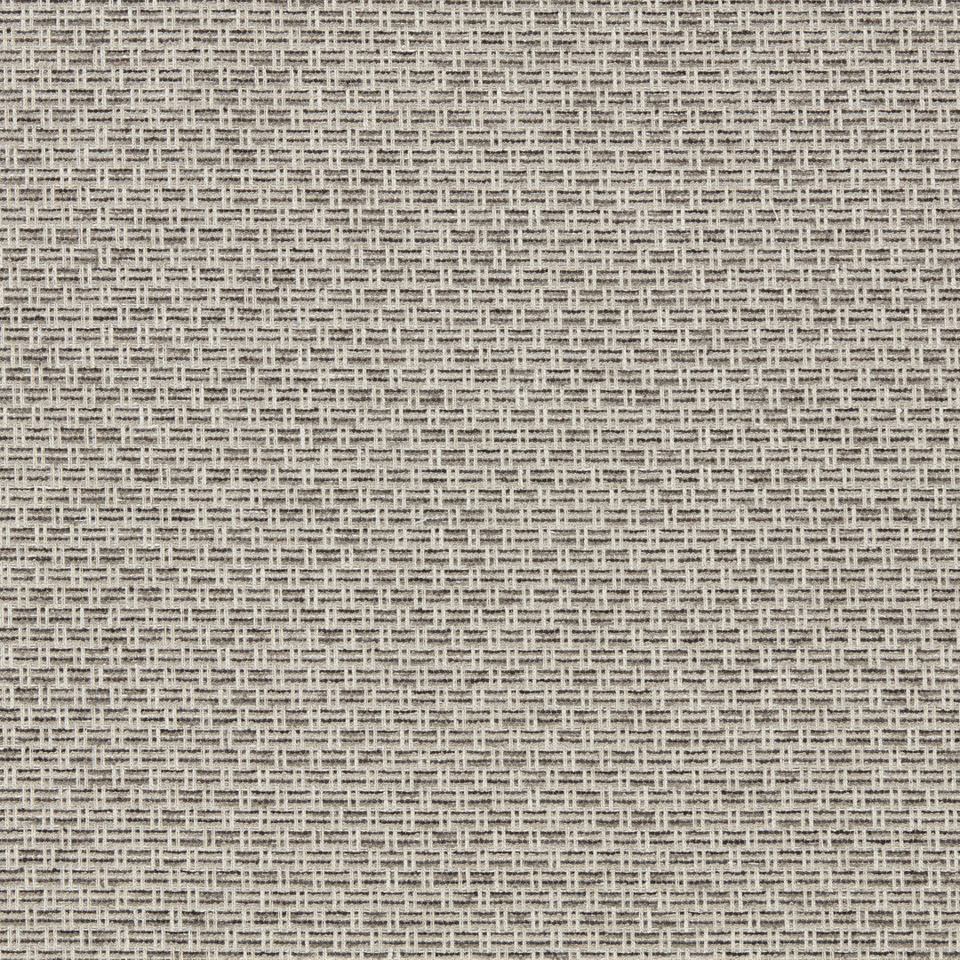 Tecido - Charcoal F1723/01.CAC.0 by Clarke & Clarke Designer Fabric