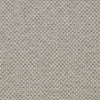 Tecido - Charcoal F1723/01.CAC.0 by Clarke & Clarke Designer Fabric