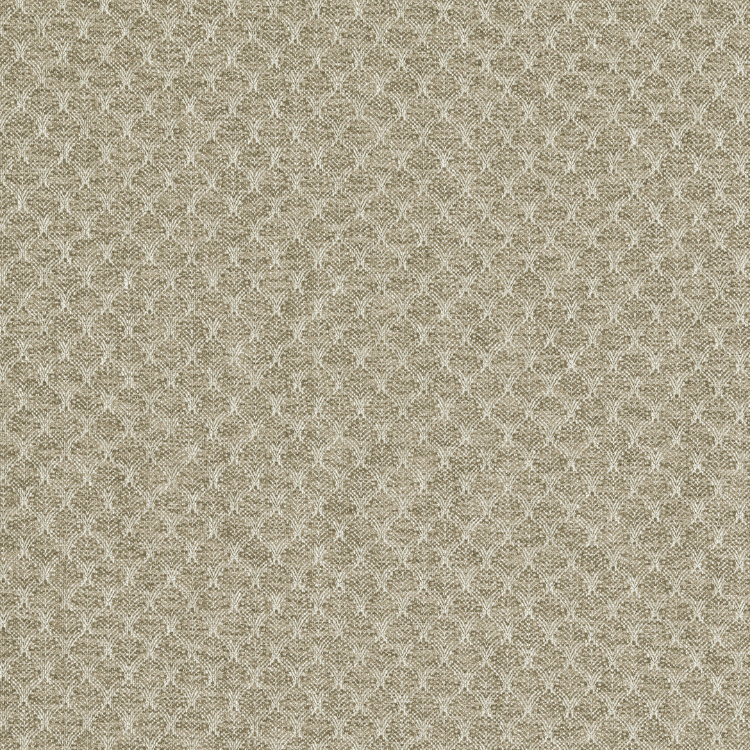 Trelica - Natural F1724/03.CAC.0 by Clarke & Clarke Designer Fabric