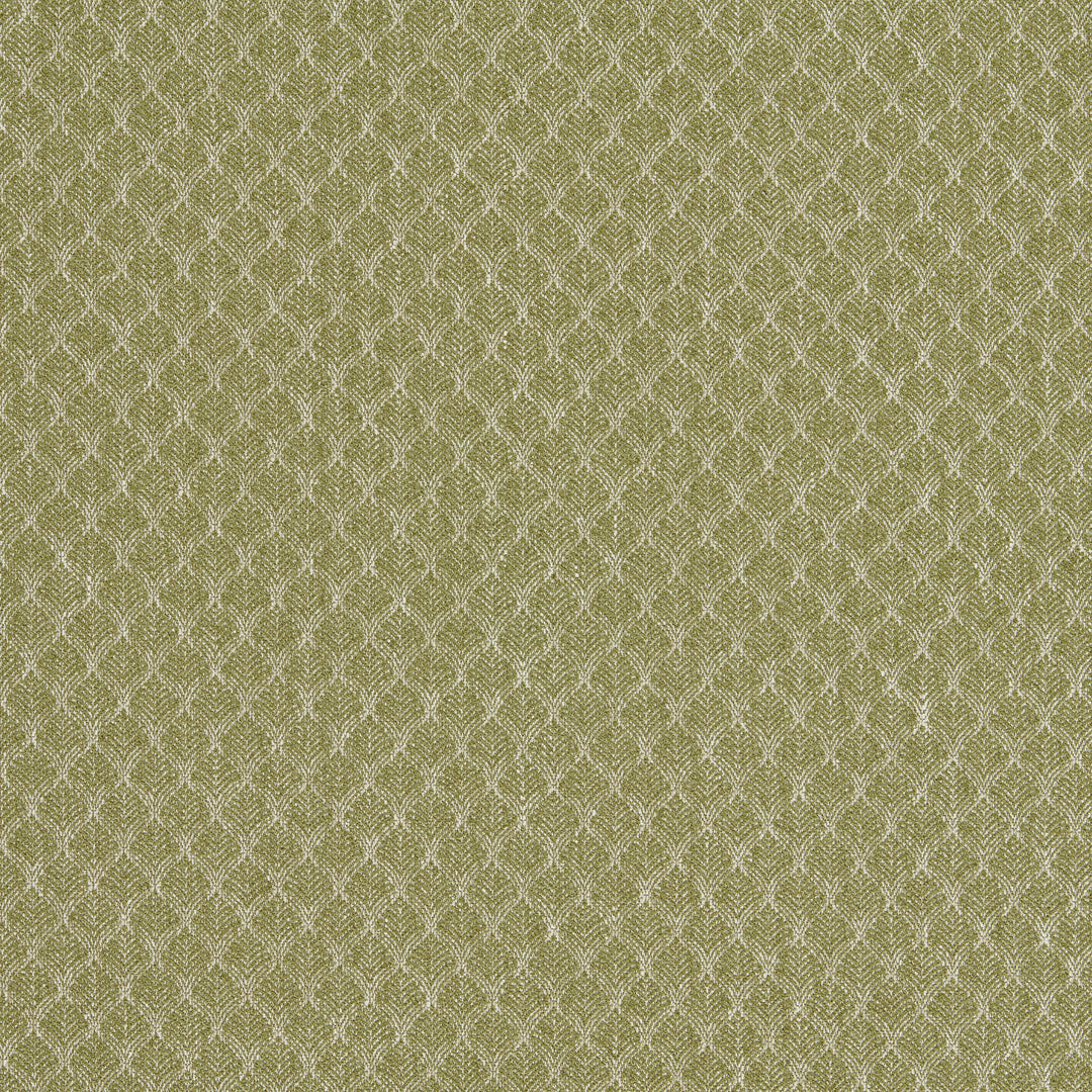 Trelica - Olive F1724/04.CAC.0 by Clarke & Clarke Designer Fabric