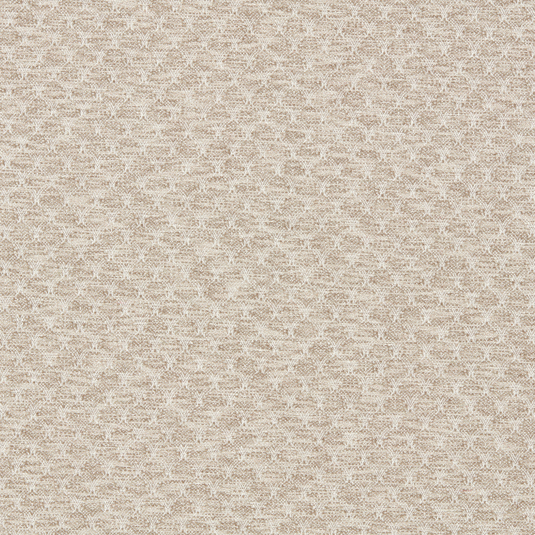 Trelica - Pebble F1724/05.CAC.0 by Clarke & Clarke Designer Fabric