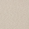 Trelica - Pebble F1724/05.CAC.0 by Clarke & Clarke Designer Fabric