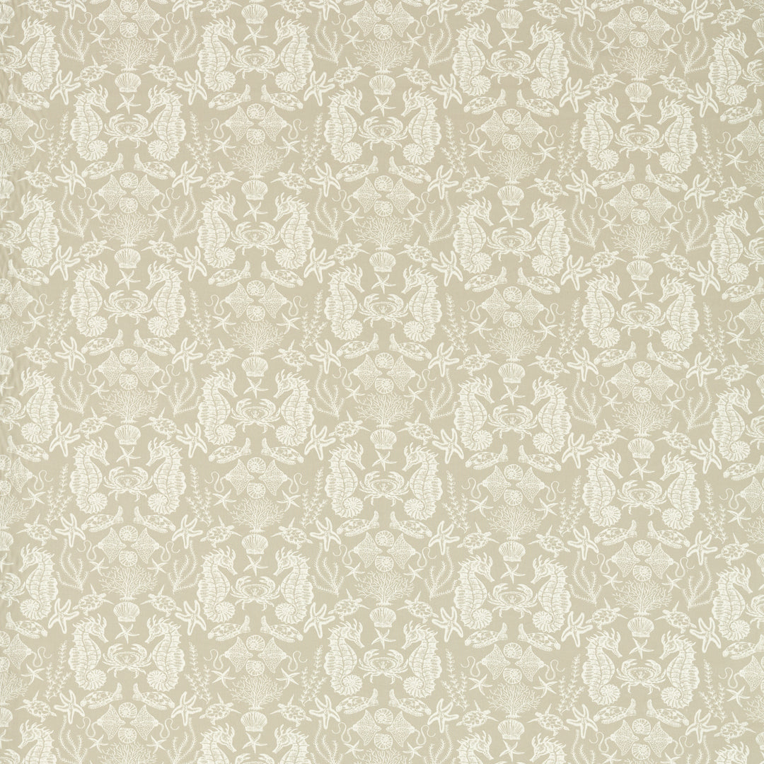 Aquarium - Natural F1725/02.CAC.0 by Clarke & Clarke Designer Fabric
