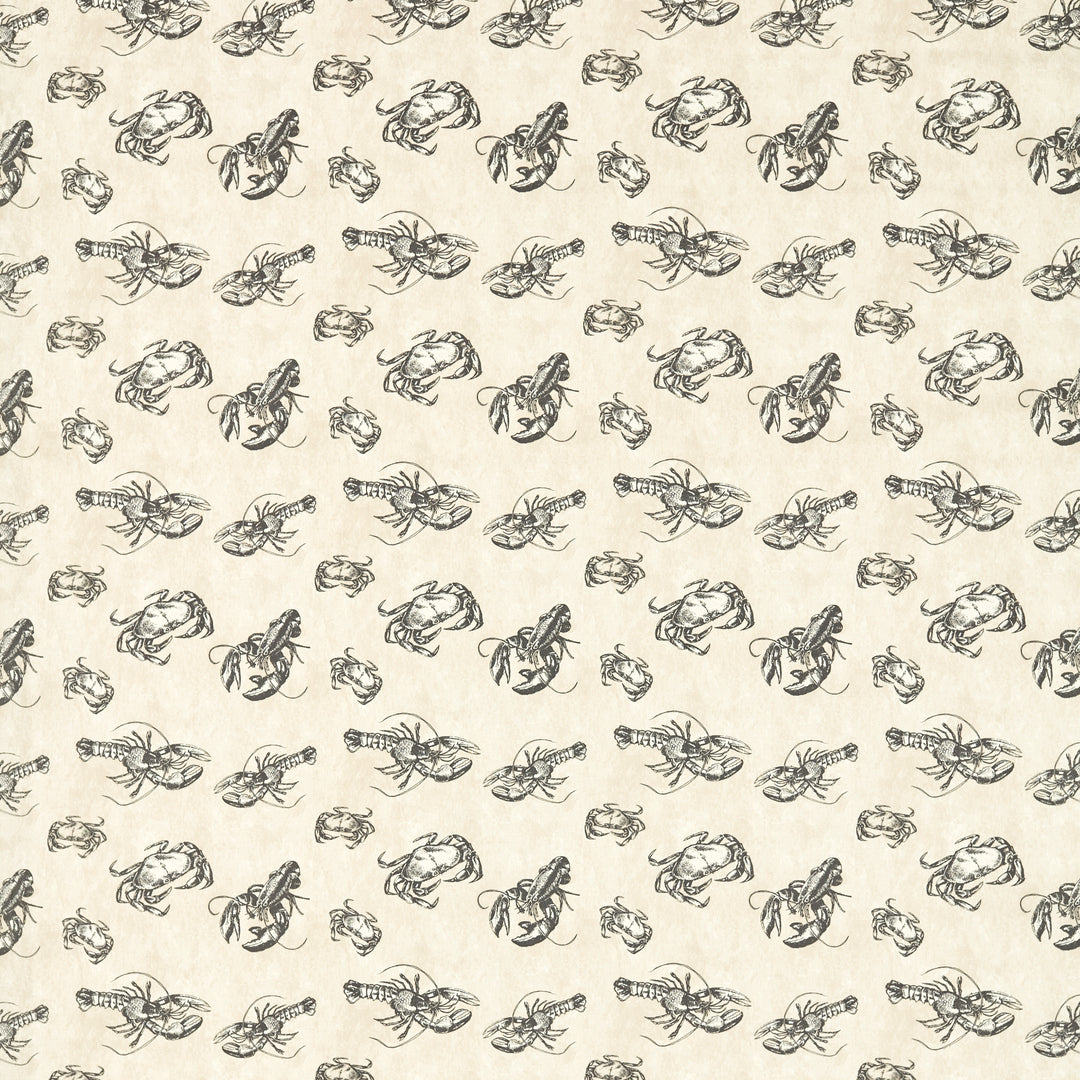 Shellfish - Charcoal F1731/01.CAC.0 by Clarke & Clarke Designer Fabric