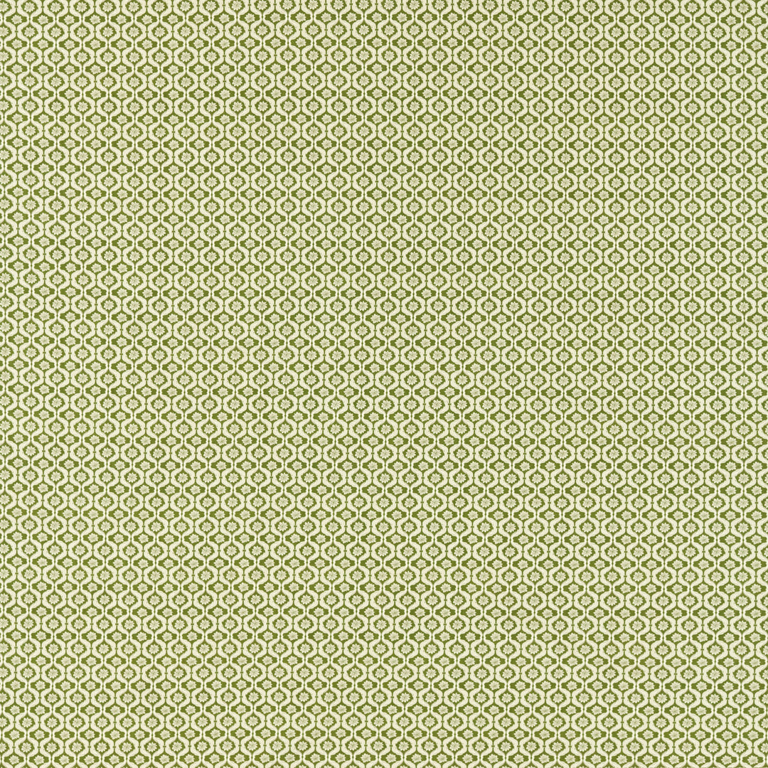 Giverny - Sage F1735/05.CAC.0 by Clarke & Clarke Designer Fabric