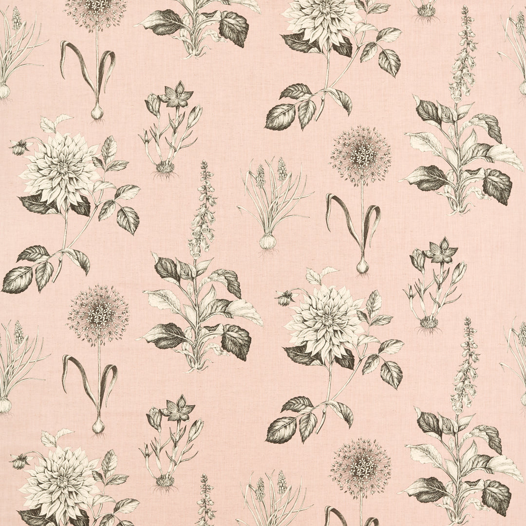 Roseraie - Blush F1738/01.CAC.0 by Clarke & Clarke Designer Fabric