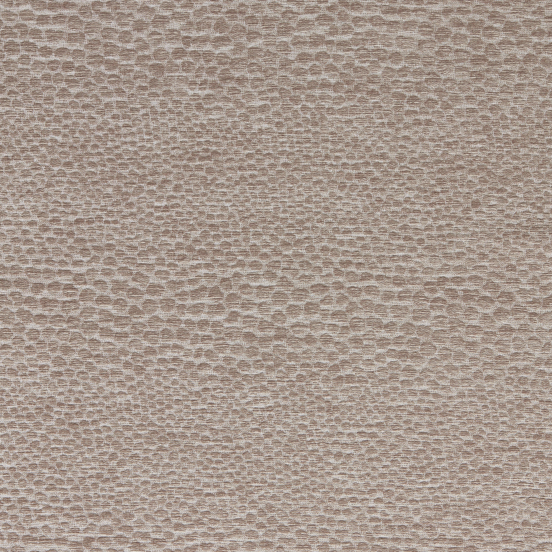 Castus - Mink F1788/08.CAC.0 by Clarke & Clarke Designer Fabric