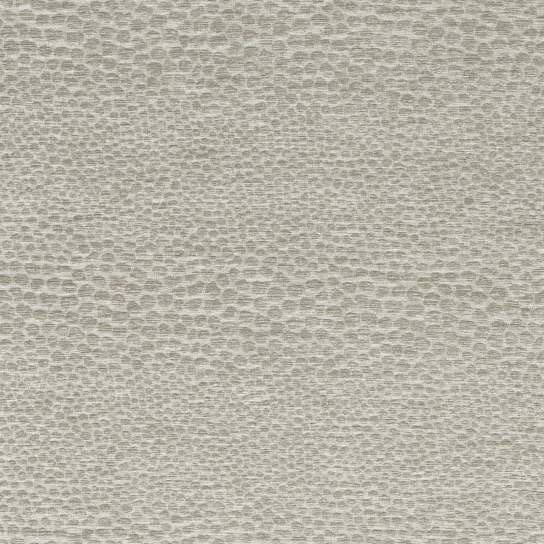 Castus - Pebble F1788/09.CAC.0 by Clarke & Clarke Designer Fabric