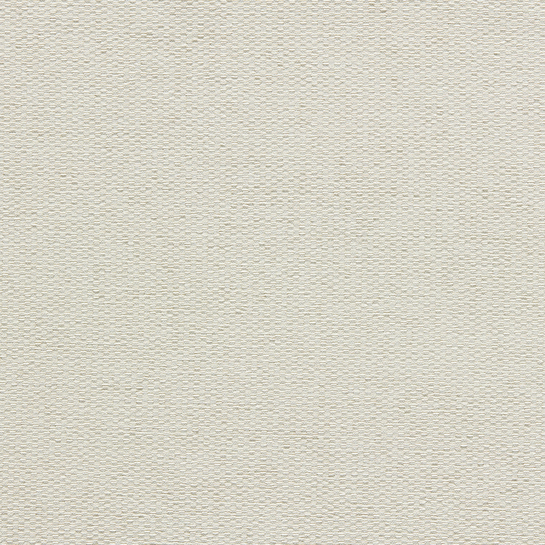 Tergo - Ivory F1791/03.CAC.0 by Clarke & Clarke Designer Fabric