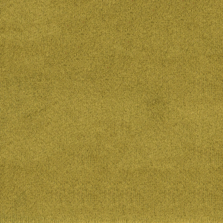 F1836 Grass by Greenhouse Designer Fabric 100% Polyester China 60,000 double rubs </p><p>Repeat: None 54" - Swanky Fabrics -
