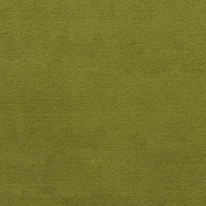 F1837 Fern by Greenhouse Designer Fabric 100% Polyester China 102,000 </p><p>Repeat: None 54" - Swanky Fabrics -