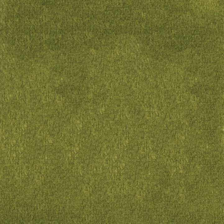 F1837 Fern by Greenhouse Designer Fabric E91: Value Color 100% Polyester China 102,000 double rubs </p><p>Repeat: None 54" - Swanky Fabrics -