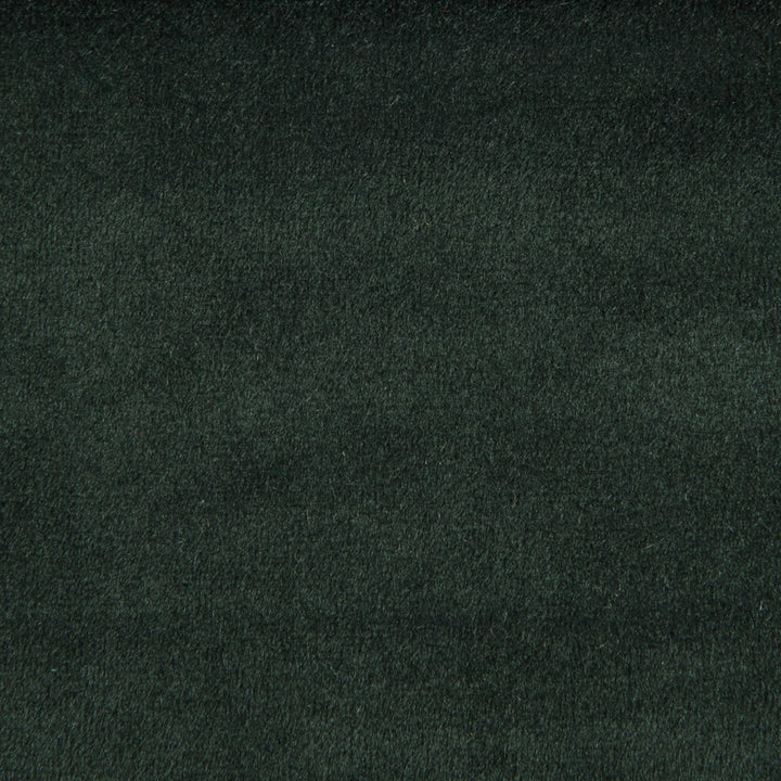 F1842 Pine by Greenhouse Designer Fabric 100% Polyester China 60,000 double rubs </p><p>Repeat: None 54" - Swanky Fabrics -