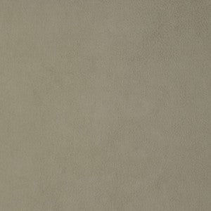 F1856 Bone by Greenhouse Designer Fabric
