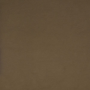 F1859 Beige by Greenhouse Designer Fabric