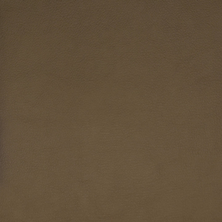 F1859 Beige by Greenhouse Designer Fabric Contents: 100% Polyerethane, Backing: 85% Polyester, 15% Cotton CHINA 100,000 </p><p>Repeat: NONE 58" - Swanky Fabrics -