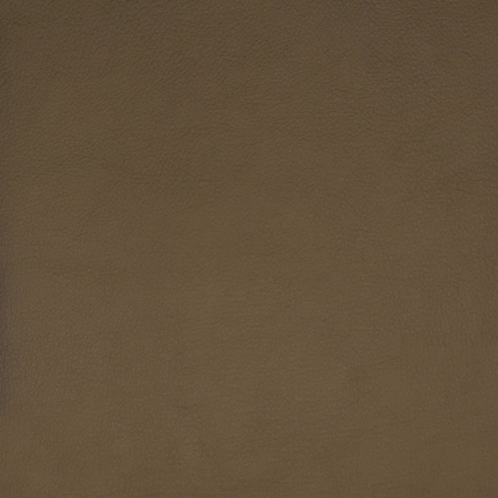 F1859 Beige by Greenhouse Designer Fabric E65: Vinyl Contents: 100% Polyerethane, Backing: 85% Polyester, 15% Cotton China 100,000 double rubs </p><p>Repeat: NONE 58" - Swanky Fabrics -