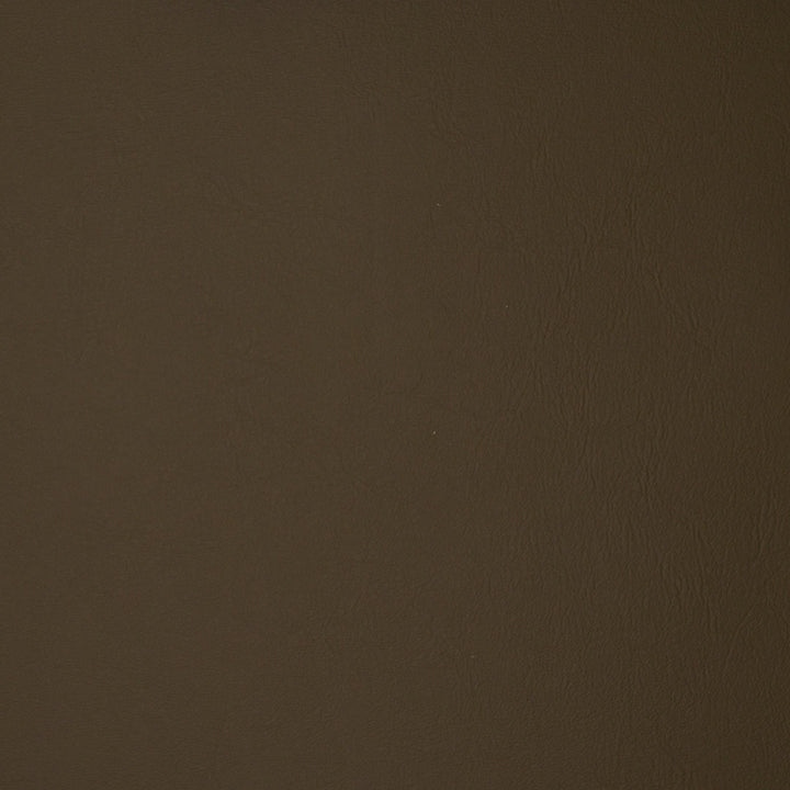 F1863 Bronze by Greenhouse Designer Fabric Contents: 100% Polyvinyl Chloride (Pvc), Backing: 100% Polyester China 500,000 double rubs </p><p>Repeat: NONE 54" - Swanky Fabrics -