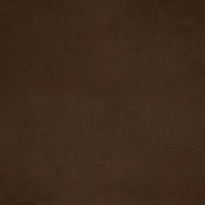 F1867 Amber by Greenhouse Designer Fabric Contents: 100% Polyerethane, Backing: 85% Polyester, 15% Cotton China 100,000 double rubs </p><p>Repeat: NONE 58" - Swanky Fabrics -
