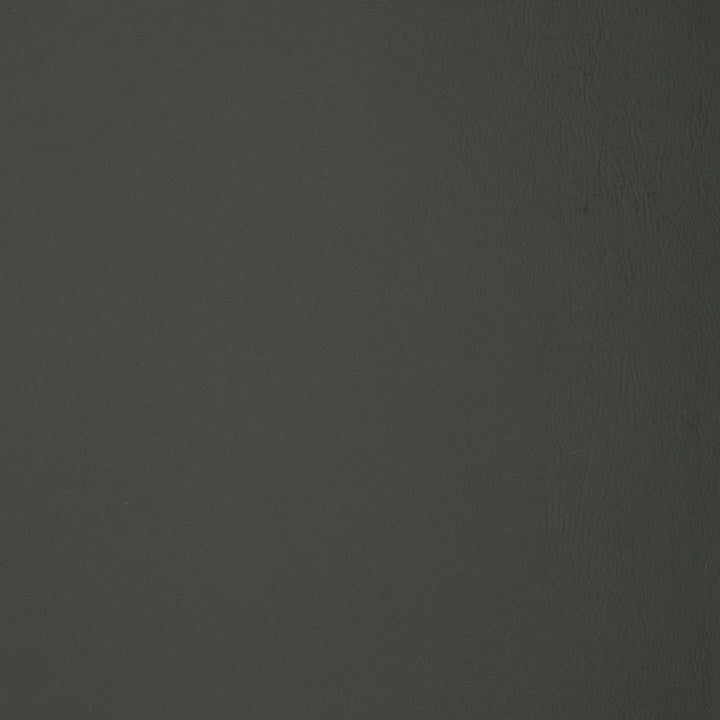 F1879 Slate by Greenhouse Designer Fabric Contents: 100% Polyvinyl Chloride (Pvc), Backing: 100% Polyester China 500,000 double rubs </p><p>Repeat: NONE 54" - Swanky Fabrics -