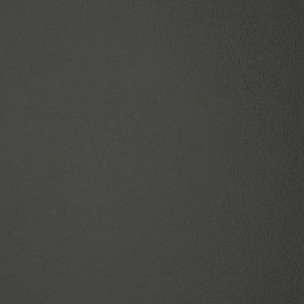 F1879 Slate by Greenhouse Designer Fabric E65: Vinyl Contents: 100% Polyvinyl Chloride (Pvc), Backing: 100% Polyester China 500,000 double rubs </p><p>Repeat: NONE 54" - Swanky Fabrics -