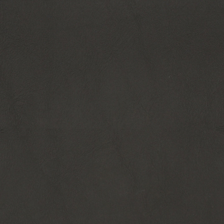 F1881 Charcoal by Greenhouse Designer Fabric Contents: 100% Polyvinyl Chloride (Pvc), Backing: 100% Polyester China 100,000 double rubs </p><p>Repeat: NONE 54" - Swanky Fabrics -