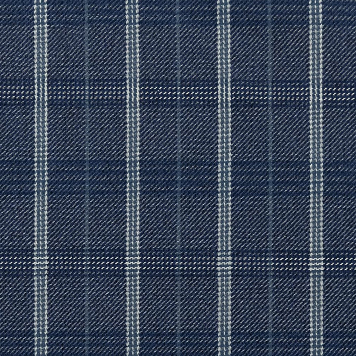 F200-124 by Charlotte Designer Fabric Horizon 85% Recycled Polyester, 15% Polyester Made In USA Exceeds 100,000 Wyzenbeek Rubs (Heavy Duty) </p><p>Repeat: Horizontal 4" x Vertical 7.5" 54 Inches - Swanky Fabrics -
