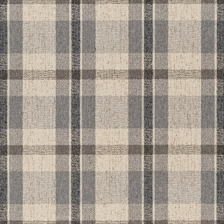 F200-126 by Charlotte Designer Fabric Pewter 60% Recycled Polyester, 40% Polyester Made In USA Exceeds 100,000 Wyzenbeek Rubs (Heavy Duty) </p><p>Repeat: Horizontal 7" x Vertical 7" 54 Inches - Swanky Fabrics -