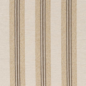 F200-133 by Charlotte Designer Fabric