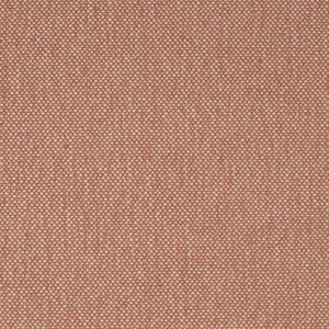 F200-161 by Charlotte Designer Fabric
