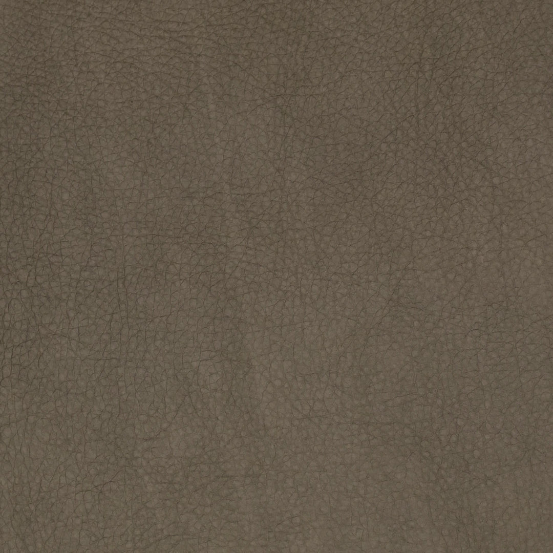 F2062 Shadow by Greenhouse Designer Fabric