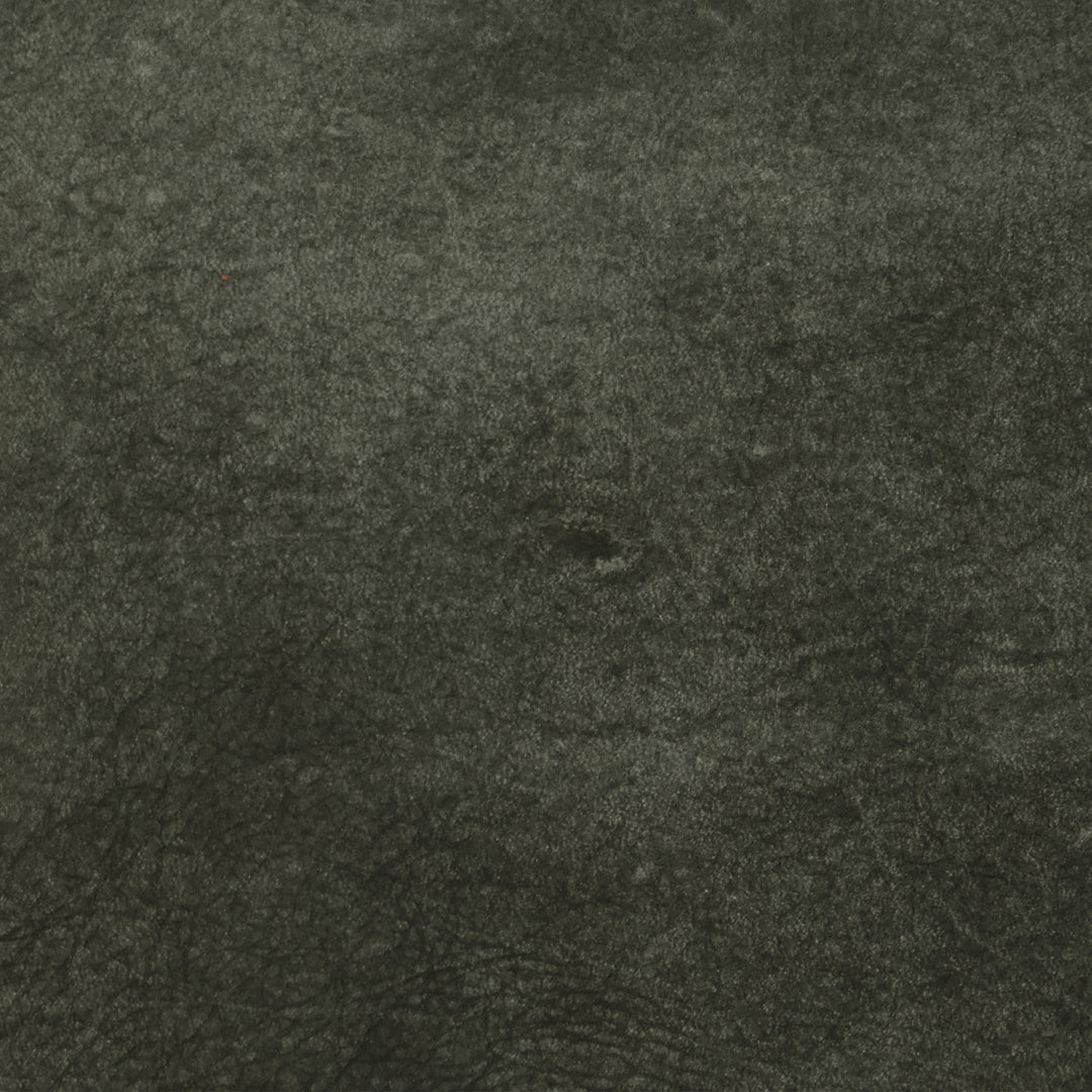 F2106 Iron by Greenhouse Designer Fabric