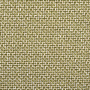 F2353 Cactus by Greenhouse Designer Fabric