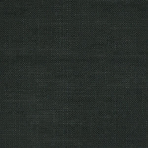 F2555 Charcoal by Greenhouse Designer Fabric