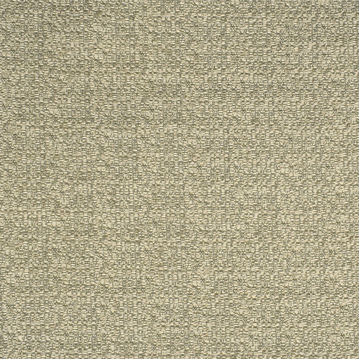 F2749 Birch by Greenhouse Designer Fabric 100% Polyester China 30,000 double rubs </p><p>Repeat: None 58" - Swanky Fabrics -