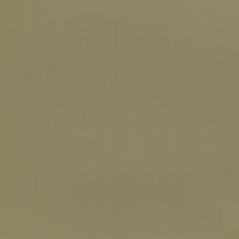 F2868 Taupe by Greenhouse Designer Fabric 100% Vinyl, Backing: 100% Polyester China 1,500,000 </p><p>Repeat: None 54" - Swanky Fabrics -