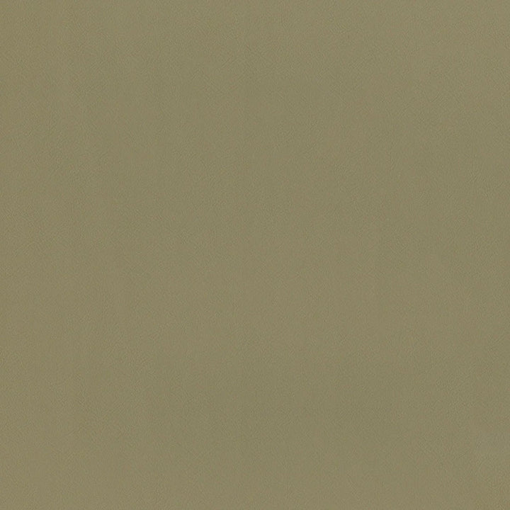 F2868 Taupe by Greenhouse Designer Fabric 100% Vinyl, Backing: 100% Polyester China 1,500,000 </p><p>Repeat: None 54" - Swanky Fabrics -