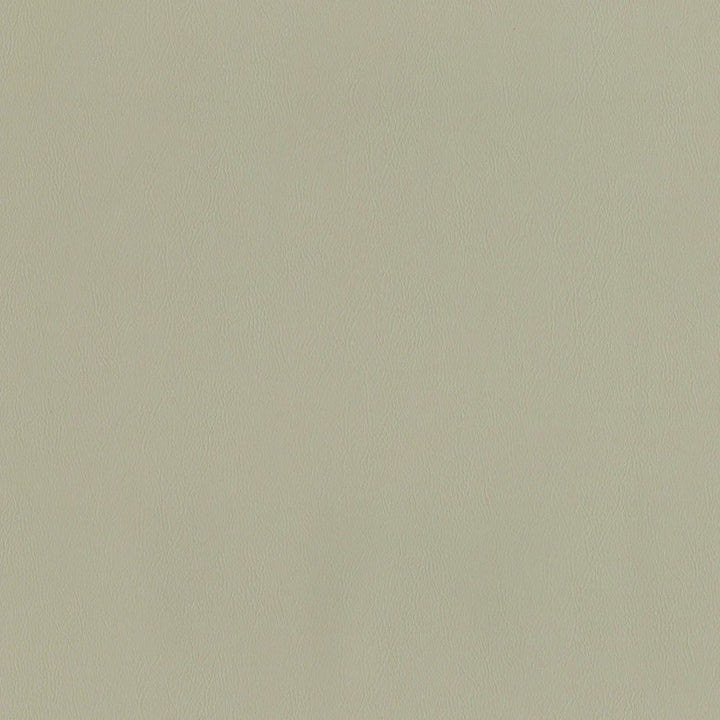 F2869 Fog by Greenhouse Designer Fabric 100% Vinyl, Backing: 100% Polyester China 1,500,000 </p><p>Repeat: None 54" - Swanky Fabrics -