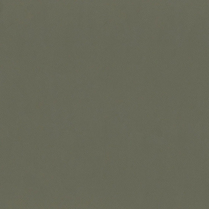 F2870 Mocha by Greenhouse Designer Fabric 100% Vinyl, Backing: 100% Polyester China 1,500,000 </p><p>Repeat: None 54" - Swanky Fabrics -